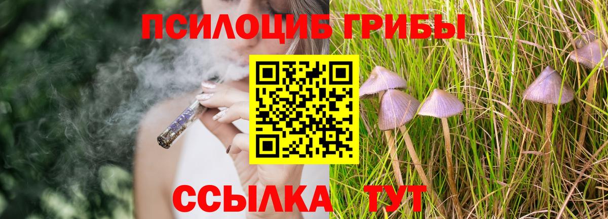 Псилоцибиновые грибы GOLDEN TEACHER Керчь