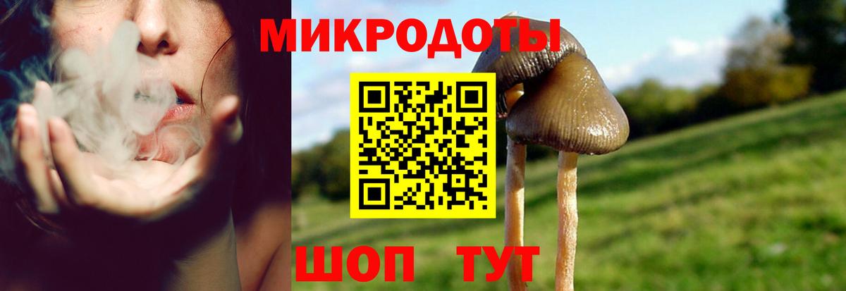 Керчь  Галлюциногенные грибы мухоморы  даркнет сайт  Вход с VPN  Псилоцибиновые грибы ЛСД 